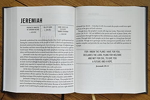 Zondervan - Jesus Bible, ESV Edition, Cloth over Board, Gray - Hardbac image 6