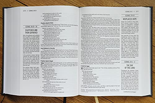 Zondervan - Jesus Bible, ESV Edition, Cloth over Board, Gray - Hardbac image 8