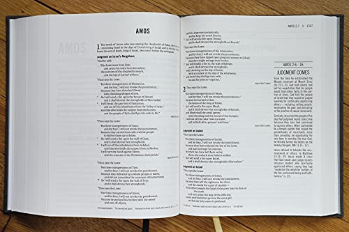 Zondervan - Jesus Bible, ESV Edition, Cloth over Board, Gray - Hardbac image 9