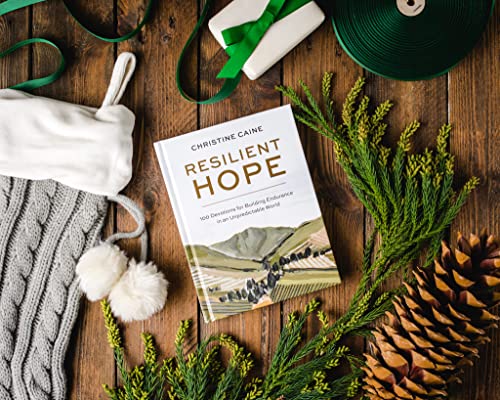 Christine Caine - Resilient Hope : 100 Devotions for Building Enduranc image 2