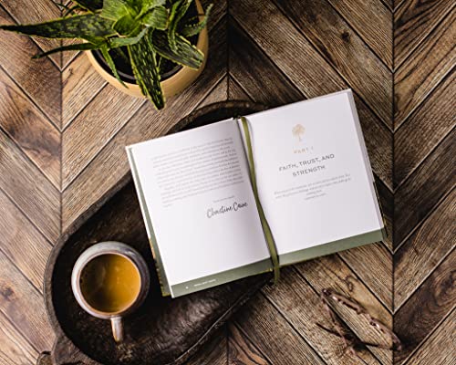 Christine Caine - Resilient Hope : 100 Devotions for Building Enduranc image 5