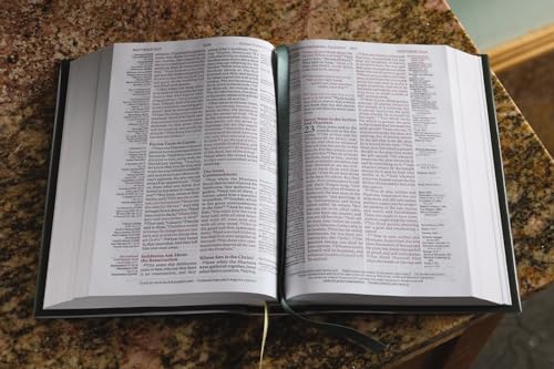 ESV, Thompson Chain-Reference Bible, Hardcover, Green, Red Letter - Ha image 6