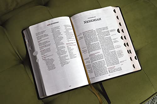 KJV, Thompson Chain-Reference Bible, Large Print, European Bonded Leat image 6