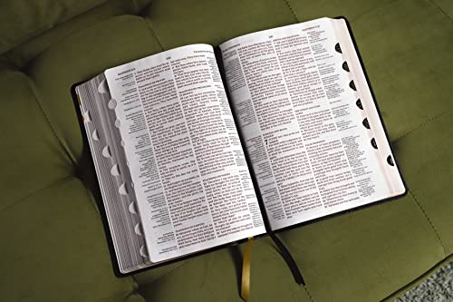 KJV, Thompson Chain-Reference Bible, Large Print, European Bonded Leat image 7