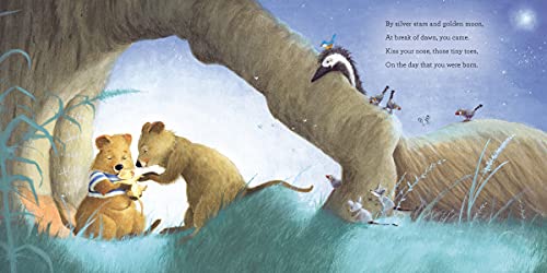 Sally Lloyd-Jones - Little One, We Knew You'd Come - Hardback image 3