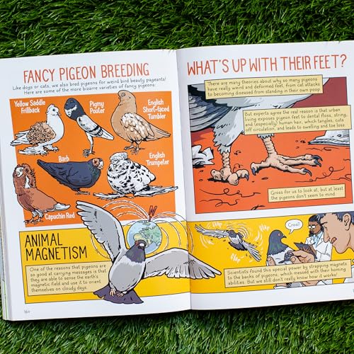 Andy Warner - 's Oddball Histories: Pests and Pets - Hardback image 6