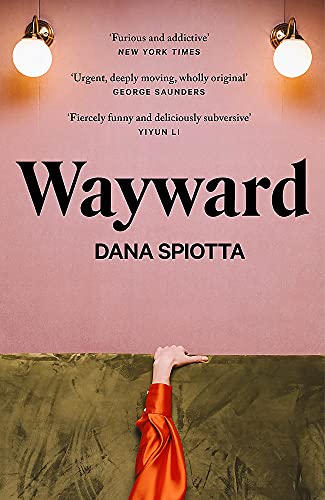 Dana Spiotta - Wayward - Hardback image 1