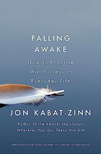Jon Kabat-Zinn - Falling Awake : How to Practice Mindfulness in Everyd image 1