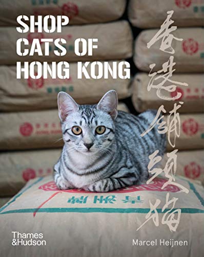 Catharine Nicol - Shop Cats of Hong Kong - Paperback image 1