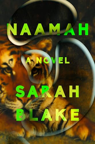 Sarah Blake - Naamah : A Novel - Hardback image 1