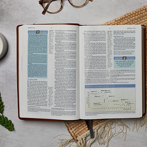 NKJV, Spirit-Filled Life Bible, Third Edition, Leathersoft, Burgundy, image 4