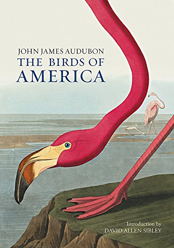 John James Audubon - Birds of America - Hardback image 1