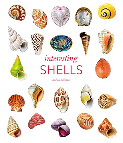 Andreia Salvador - Interesting Shells - Hardback image 1