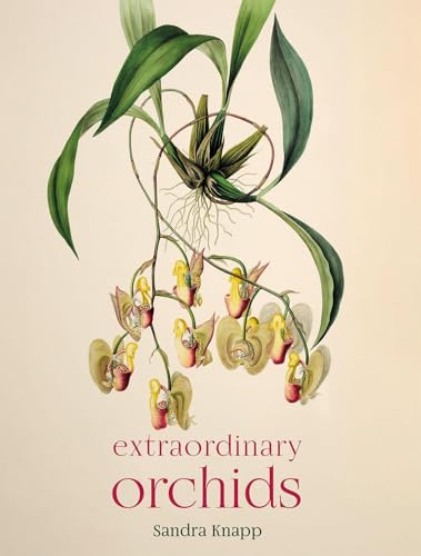 Sandra Knapp - Extraordinary Orchids - Hardback image 1