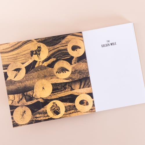 Katherine Rundell - Golden Mole : and Other Vanishing Treasure - Paper image 3