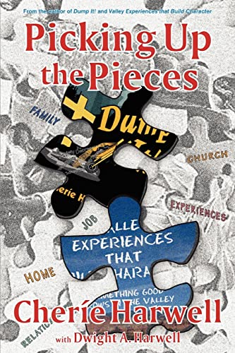 Picking up The Pieces:Dump It! Series