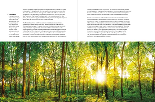 Jerome Chave - World Atlas of Trees and Forests : Exploring Earth' image 2