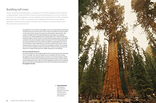Jerome Chave - World Atlas of Trees and Forests : Exploring Earth' image 3