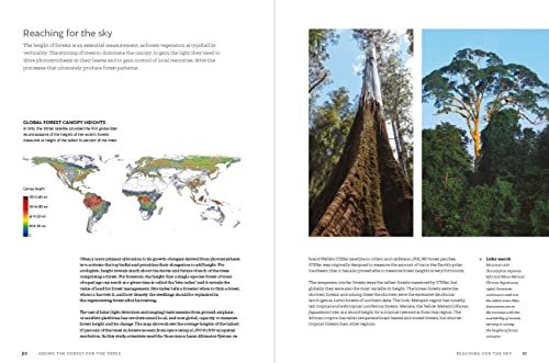 Jerome Chave - World Atlas of Trees and Forests : Exploring Earth' image 4