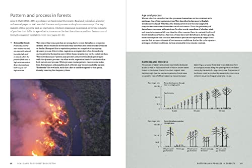 Jerome Chave - World Atlas of Trees and Forests : Exploring Earth' image 5