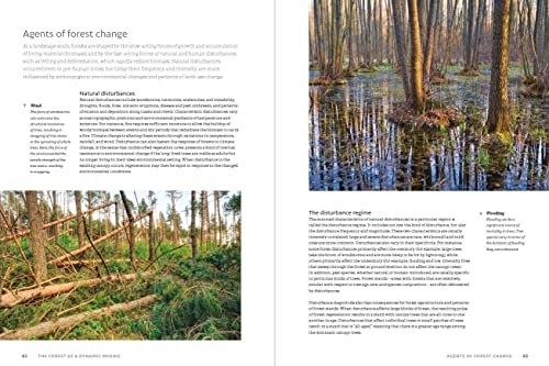 Jerome Chave - World Atlas of Trees and Forests : Exploring Earth' image 6