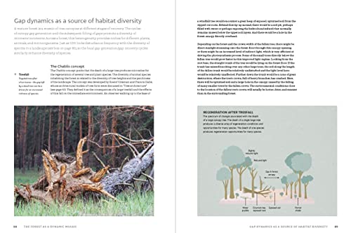 Jerome Chave - World Atlas of Trees and Forests : Exploring Earth' image 7