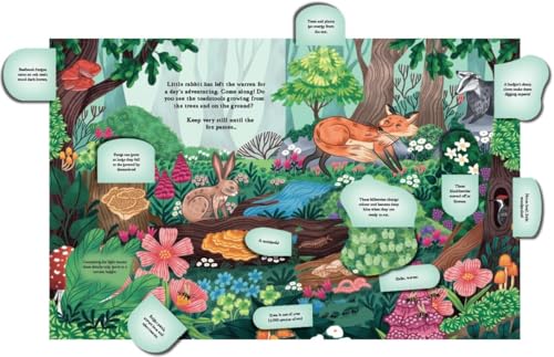 Scholastic - Hide and Find in the Forest: A Lift-the-Flap Woodland Adv image 2