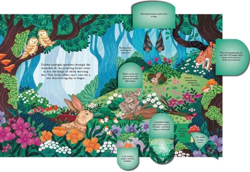 Scholastic - Hide and Find in the Forest: A Lift-the-Flap Woodland Adv image 3