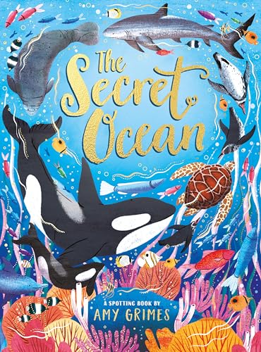 Amy Grimes - Secret Ocean - Hardback image 1