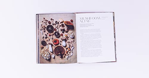 Anna Potter - Flower Philosophy : Seasonal projects to inspire & resto image 4
