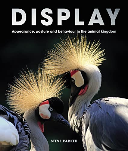 Steve Parker - Display : Appearance, posture and behaviour in the anim image 1
