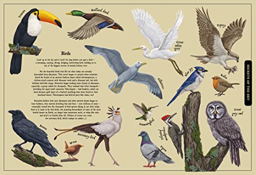 Saskia Gwinn - Secret Stories of Nature : A Field Guide to Uncover Our image 4