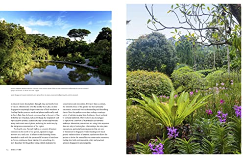 Ambra Edwards - Botanic Garden : The world's greatest botanical sa image 3
