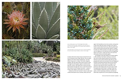 Ambra Edwards - Botanic Garden : The world's greatest botanical sa image 4