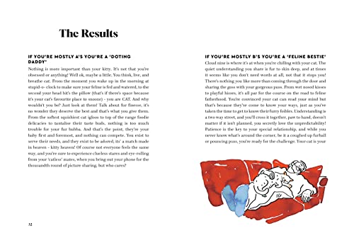 Alison Davies - Cat Dads : Your Guide to Feline Fatherhood - Hardback image 2