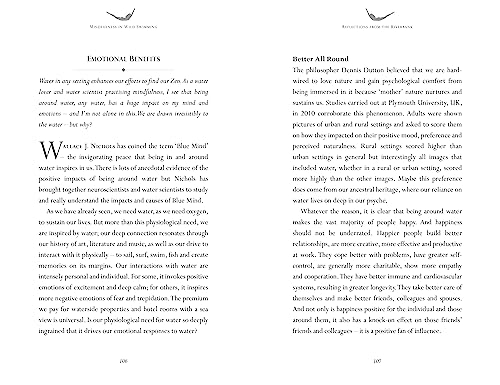 Tessa Wardley - Mindfulness in Wild Swimming : Meditations on Nature & image 3