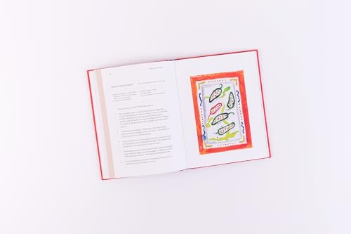 Caroline Quentin - Drawn to the Garden - Hardback image 5