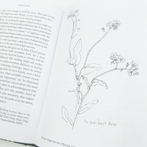 Anna Chapman Parker - Understorey : A Year Among Weeds - Hardback image 4