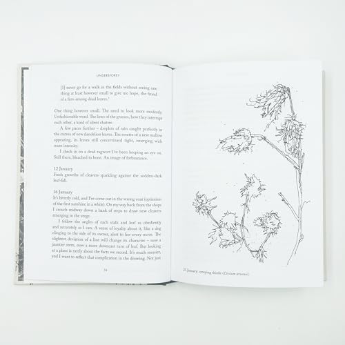 Anna Chapman Parker - Understorey : A Year Among Weeds - Hardback image 5