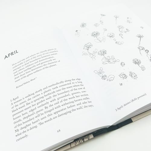 Anna Chapman Parker - Understorey : A Year Among Weeds - Hardback image 6