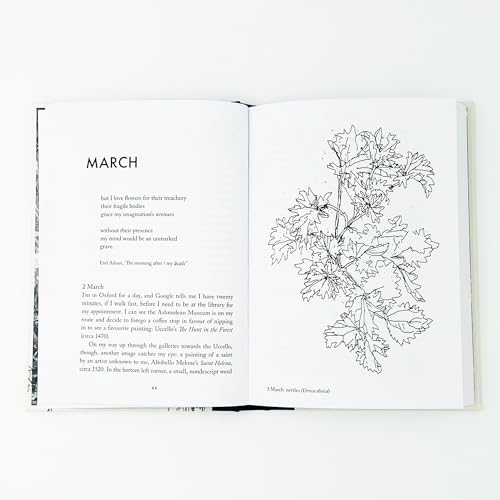 Anna Chapman Parker - Understorey : A Year Among Weeds - Hardback image 7