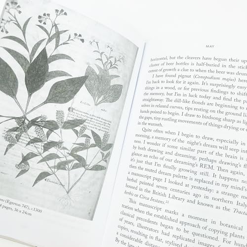 Anna Chapman Parker - Understorey : A Year Among Weeds - Hardback image 8