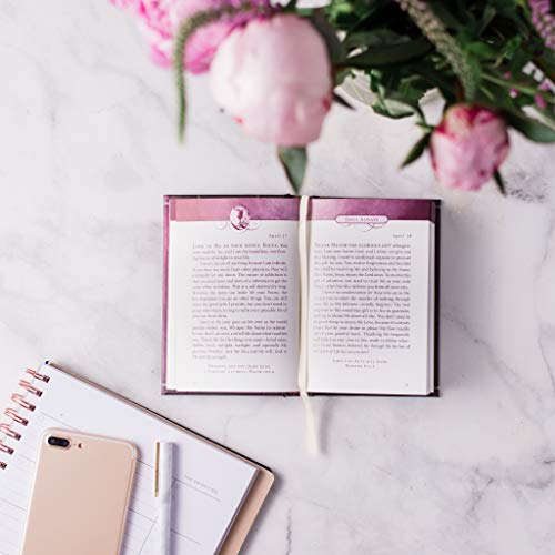 Sarah Young - Jesus Always : Embracing Joy in His Presence - Hardback image 3