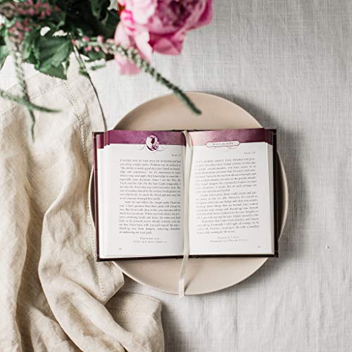 Sarah Young - Jesus Always : Embracing Joy in His Presence - Hardback image 4