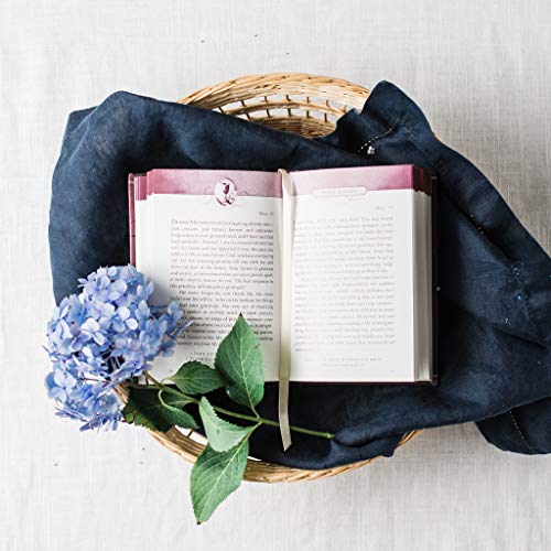 Sarah Young - Jesus Always : Embracing Joy in His Presence - Hardback image 5