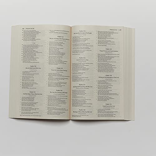 Thomas Nelson - NKJV, Economy Bible, Paperback : Beautiful. Trustworth image 4