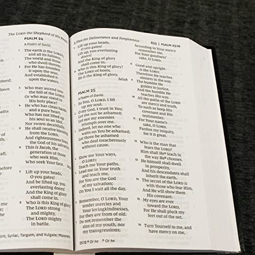 Thomas Nelson - NKJV, Pew Bible, Large Print, Hardcover, Burgundy, Red image 5