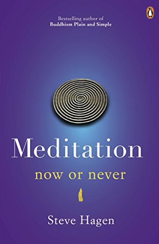 Steve Hagen - Meditation Now or Never - Paperback image 1