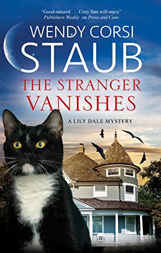 Wendy Corsi Staub - Stranger Vanishes - Hardback image 1