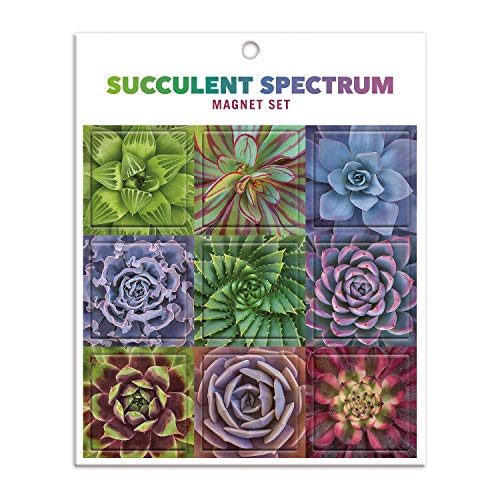 Galison - Succulent Spectrum Magnet Set - Jigsaw Puzzle image 1